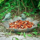 Mumtop Bird Baths For Outdoors  Antique Outdoor Garden Bath Resin Bronze 