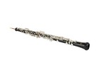 Wisemann Dob-400 Oboe  C  Ebony   With Hard Case And Canvas Cover  With Reeds