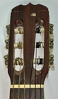 Takamine  G150 Elite Classical Nylon String Acoustic Guitar