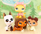 4x Lps Dachshund  675short Hair  339 Great Dane  577 Collie  58 Animal Lps Toys