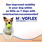 Virbac Advanced Soft Chews Hip   Joint Support For Small Dogs  60 Count