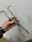 Old Vintage Antique 1800s Piglet Puller Puppy Puller Veterinary Tool Old 14in 