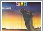 Camel     Rare Vintage Original Mainz 1978 Concert Poster   breathless  