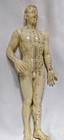 Acupuncture Male Model 19  Human Acupoint Doll   Ear Chinese Medicine Learning
