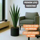 Fox   Fern Large Planter For Indoor Or Outdoor  Matte Black  10 Inch