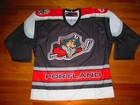 Authentic Vtg 2002-05 Ahl Portland Pirates Ccm Hockey Jersey Fight Strap Capital