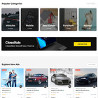 Best Classified Websites Design For Sale With Free Vps Web Hosting