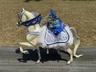 Breyer Snow Princess Christmas Holiday 2006 Model Horse 700106