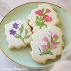 Spring Greenery 2 Piece Stencil By Cookie Countess