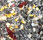 Medium   Large Hookbill Cuisine Parrot Food Mix Cockatoo African Grey Macaw 