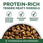  Plus Small Breed Dry Dog Food For Adults  Grain-free High Protein Lamb   Rice