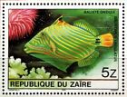 Zaire 1980 Tropical Triggerfish   Coral Souvenir Sheet Single Stamp Mnh 
