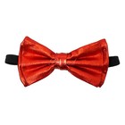 Red Metallic Canvas Tuxedo Classic Bowtie Neckwear Unisex Bow Tie 