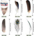 50pcs Natural Feathers Bulk-6 Style Mixed Decorative Spotted Feathers peacock Fe