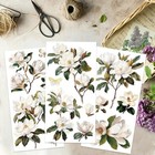 3pcs Magnolia Rub On Transfers 6x12 Vintage Floral Stickers For Furniture Crafts