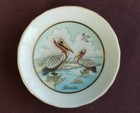 Florida State Vintage 1987 Souvenir Mini Cup   Saucer Lefton China Pelican Ocean