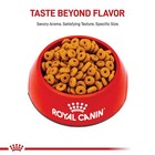 Royal Canin Feline Health Nutrition Digestive Care Dry Cat Food 6lb  2 Pack