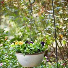 Southern Patio Westlake Planter 12  Hanging Basket