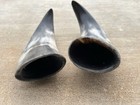 Steer Horns 9 Inch Two Horns Semi Polished Bull Cow