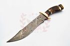 Custom Hand Made Forged Damascus Steel Hunting Bowie Knife Handle Deer Antler