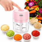 Electric Garlic Chopper Mini Food Processor 250ml Usb Rechargeable Onion Meat