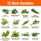 Herb Seeds  12 Packs  Non-gmo  4 000  Seeds  2026