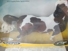 Breyer Saddlebred Stallion  Livingston  760248  2021 Flagship Special Run Pinto