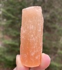 Peach Selenite  Stick Piece Wand   Raw Rough  Healing Protection 29292e
