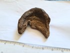 Best Example  Larger With Thicker Rim Sauropod Dinosaur Forefoot  manus  Cast