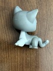Littlest Pet Shop Lps Authentic  138 Shorthair Gray White Cat Hazel Green Eyes
