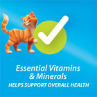 Purina Kit And Kaboodle Original Dry Cat Food  Immune Health Support  22 Lb Bag