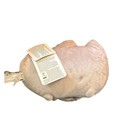 Bnwt Gund Animated Dancing Pusheen Plush Stuffed Animal Cat  9 5 