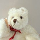 Vintage Mohair Teddy Bear Hand Muff Glass Eyes Red Ribbon 10    Unmarked