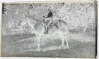 Antique Glass Plate Photo Negative - Young Equestrian On A Horse