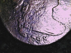 1798 Draped Bust Large Penny cent  57 Reverse Clear  Free Ship Same Day Paid 