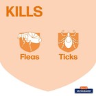 Hartz Ultraguard Flea   Tick Collar For Cats And Kittens  7 Month Flea And Tick