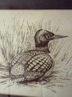 Vintage Original Pen And Ink Drawing Duck Signed Framed Art