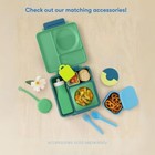 Insulated Bento Box For   3 Compartments  2 Temp Zones  Leak-proof Thermos