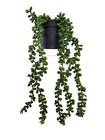 Artificial Faux Potted Succulent Plants Home Kitchen Office Occasion Decor