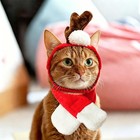 Pet Reindeer Costume Hat Tie Collar For Cats Small Dogs Halloween Party Outfit