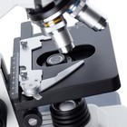 Amscope 40x-2500x Binocular Compound Led Microscope  slides  Book  And Prep Kit