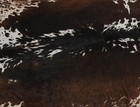 New Cowhide Rugs Area Cow Skin Leather 19 88 Sq feet  54 x53   Cow Hide M1091