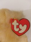 Ty Classic Buddy Butterbeary The Classic Bear 13  Tall Mint With All Tags