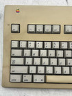 Vintage Apple Extended Keyboard Ii M3501 - No Cable