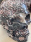 5     Natural Insect Fossil Carved Crystal Skull Realistic Healing Skeleton  302