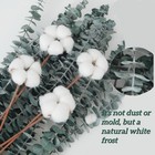 22pcs Dried Eucalyptus Stems With Cotton  17 Real Preserved Eucalyptus Bouque   