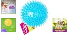 Brightly Colored Medium Squeaker Ball Dog Toy     Perfect For Indoor   Outdoor Fun