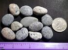 Yooperlite Set - 12 Bright Lake Superior Syenite Stones W  Fluorescent Sodalite