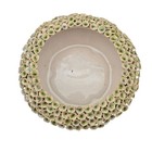 Vintage Pottery Ceramic Bowl Planter Unique Green Textured Coral Reef Art