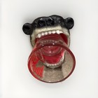 Vintage Washington Bear Novelty Painted Shot Glass  Multicolor Resin   Glass